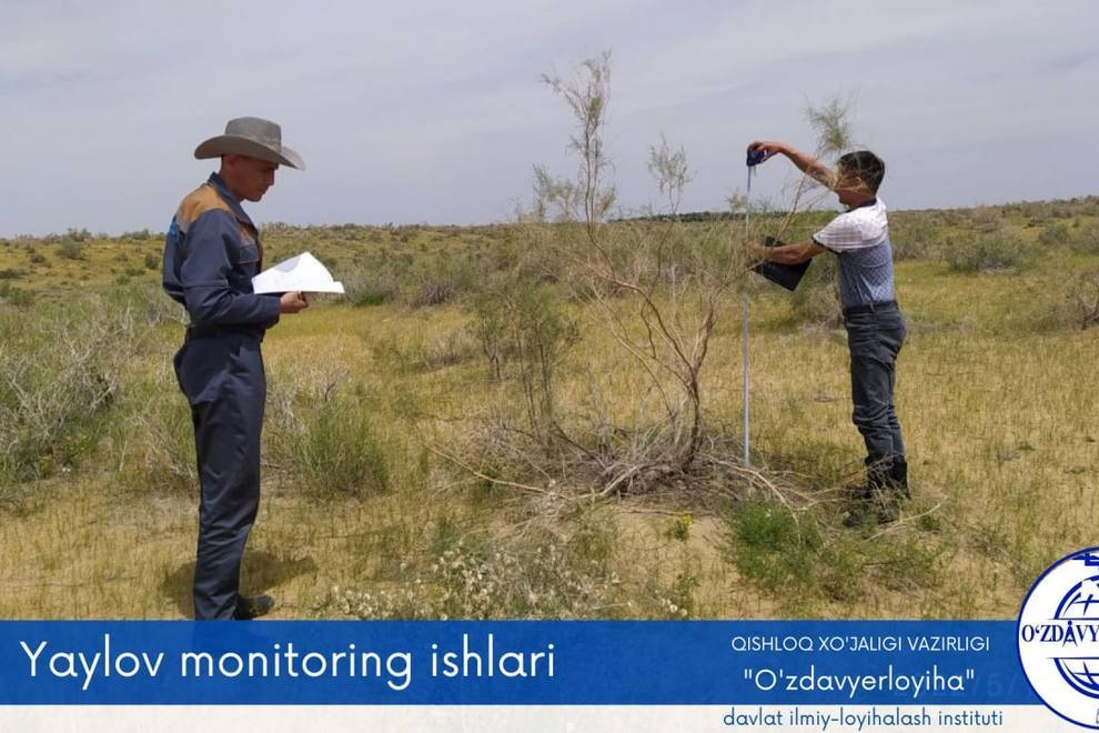 Pasture monitoring work