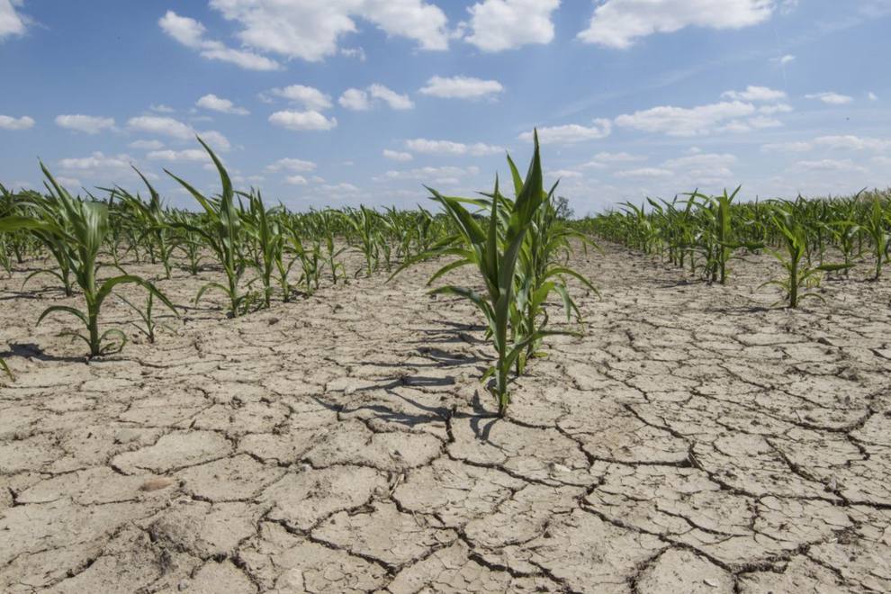 ISSUES OF COMBATING LAND DEGRADATION PROCESSES