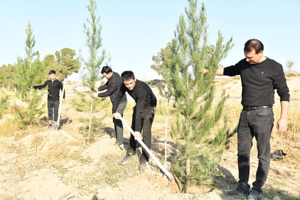 THE “URGENT 40 DAYS” FOR PLANTING SAPLINGS