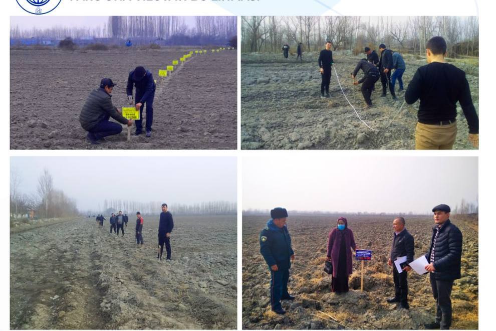 WORK CARRIED OUT UNDER RESOLUTION No. PQ-373 “ON ADDITIONAL MEASURES TO INCREASE THE INCOMES OF THE POPULATION BY SUPPORTING THE ESTABLISHMENT OF DEHKAN FARMS”